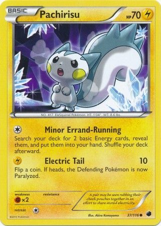 Pachirisu 37 116 Common Pachirisu 37 116 Common