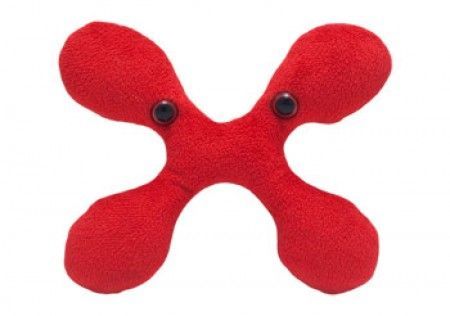 Babesia 5 7 Plush Giant Microbes Giant Microbes Babesia 5 7 Plush Giant Microbes Giant Microbes