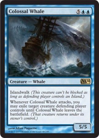 Colossal Whale Colossal Whale