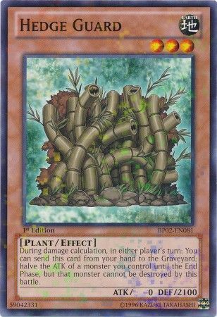 Hedge Guard BP02 EN081 Mosaic Rare 1st Edition 