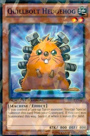 Quillbolt Hedgehog DT07 EN007 Duel Terminal 7 DT07 Quillbolt Hedgehog DT07 EN007 Duel Terminal 7 DT07