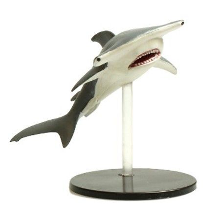 Hammerhead Shark 33 Skull Shackles Singles Pathfinder Battles Pathfinder Battles Skull Shackles Hammerhead Shark 33 Skull Shackles Singles Pathfinder Battles Pathfinder Battles Skull Shackles