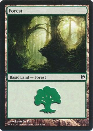 Forest 80 Forest 80