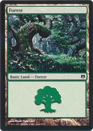 Forest 81 Forest 81