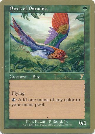 Birds of Paradise Toronto August 2001 Birds of Paradise Toronto August 2001