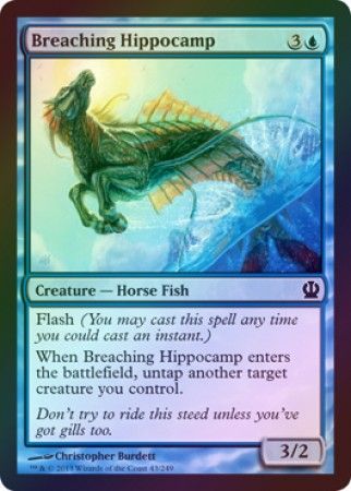 Breaching Hippocamp Foil Breaching Hippocamp Foil