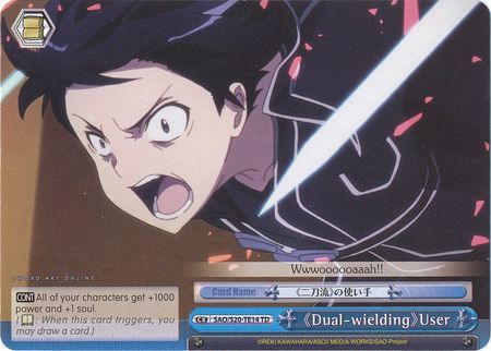 Dual wielding User SAO S20 TE14 TD Dual wielding User SAO S20 TE14 TD