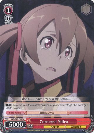Cornered Silica SAO S20 E066 Common C Cornered Silica SAO S20 E066 Common C