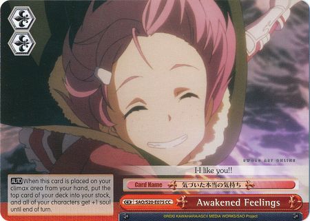 Awakened Feelings SAO S20 E075 Climax Common CC Awakened Feelings SAO S20 E075 Climax Common CC