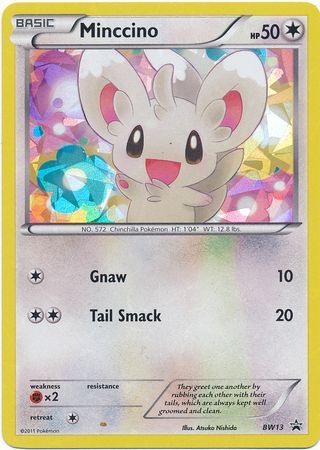 Zekrom PR-BLW BW24  Pokemon TCG POK Cards