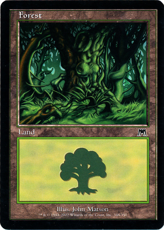 Forest 348 Forest 348