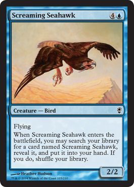 Screaming Seahawk Screaming Seahawk