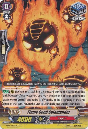 Flame Seed Salamander EB09 035EN Common C Flame Seed Salamander EB09 035EN Common C