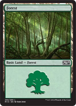 Forest 266 269 
