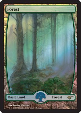 Version 2NMStandard Showdown PromoMagic MTG Forest FOIL