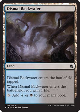 Dismal Backwater 232 269 Dismal Backwater 232 269