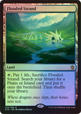 Flooded Strand Foil 233 269 Flooded Strand Foil 233 269