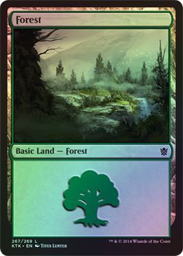 Forest Foil 267 269 Khans of Tarkir Foil Singles Forest Foil 267 269 Khans of Tarkir Foil Singles