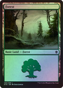 Forest Foil 268 269 Khans of Tarkir Foil Singles Forest Foil 268 269 Khans of Tarkir Foil Singles