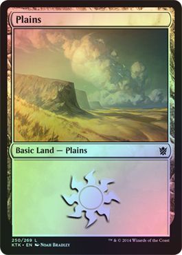 Plains Foil 250 269 Plains Foil 250 269