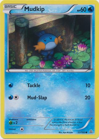 Mudkip 33 160 Holo Pokemon Promo Cards Mudkip 33 160 Holo Pokemon Promo Cards