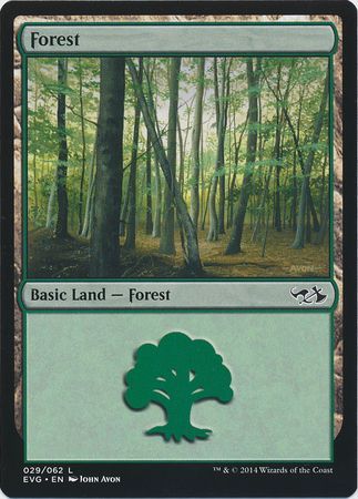 Forest 29 EVG Forest 29 EVG