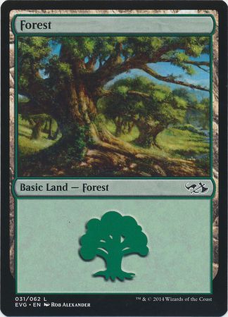 Forest 31 EVG Forest 31 EVG