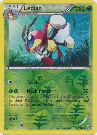 Ledian 7 146 Uncommon Reverse Holo XY Base Set Reverse Holo Singles Ledian 7 146 Uncommon Reverse Holo XY Base Set Reverse Holo Singles