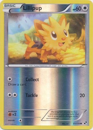 Lillipup 81 114 Common Reverse Holo Black White 1 Base Set Reverse Holo Singles Lillipup 81 114 Common Reverse Holo Black White 1 Base Set Reverse Holo Singles