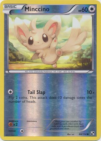Minccino 88 114 Common Reverse Holo Minccino 88 114 Common Reverse Holo
