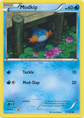 Mudkip 33 160 Common Mudkip 33 160 Common