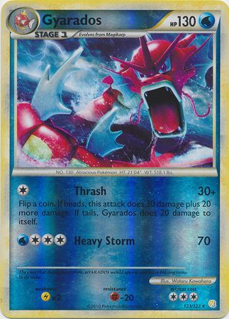 POKEMON Diamond & Pearl Stormfront Single Gyarados 19 Rare - Diamond &  Pearl Stormfront Single Gyarados 19 Rare . shop for POKEMON products in  India.