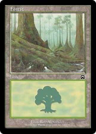 Forest 348 Forest 348
