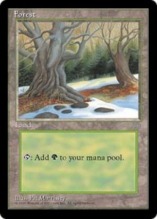 Forest 1 Forest 1