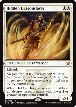 Hidden Dragonslayer 023 264 Hidden Dragonslayer 023 264