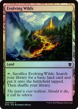 Evolving Wilds Foil 248 264 Evolving Wilds Foil 248 264