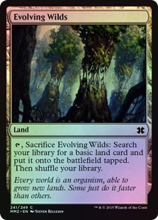Evolving Wilds Foil 241 249 Evolving Wilds Foil 241 249