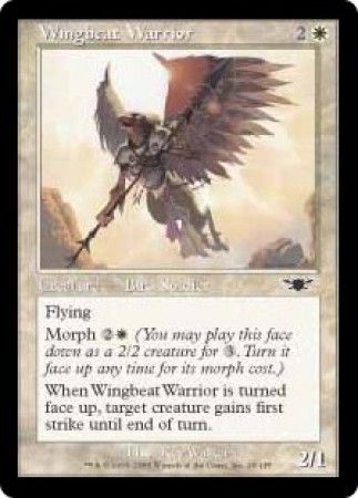 Wingbeat Warrior Wingbeat Warrior