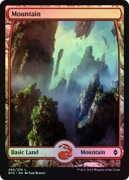 Battle For Zendikar Magic//mtg Full Art Land FOIL Forest 273//274