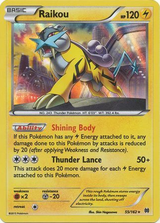 Pokémon – Raikou (55/162) – XY Breakthrough – Holo : :  Brinquedos e Jogos