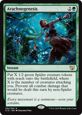 Arachnogenesis 032 342 Arachnogenesis 032 342