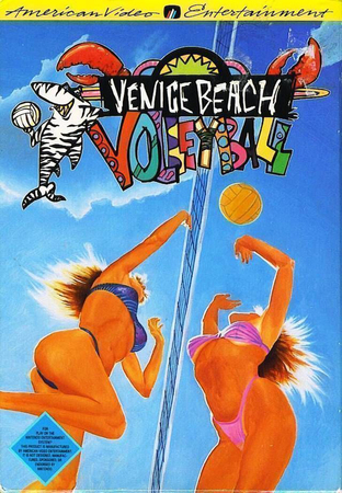 Venice Beach Volleyball NES Nintendo Entertainment System NES Venice Beach Volleyball NES Nintendo Entertainment System NES