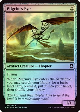 Pilgrim s Eye 229 249 Foil Pilgrim s Eye 229 249 Foil