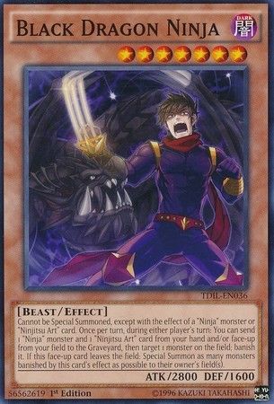 Black Dragon Ninja TDIL EN036 Common 1st Edition Black Dragon Ninja TDIL EN036 Common 1st Edition