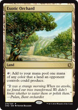 Exotic Orchard 219 221 Exotic Orchard 219 221