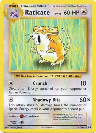 RATICATE  Pokemon NM Card XY EVOLUTIONS Rare 67/108 