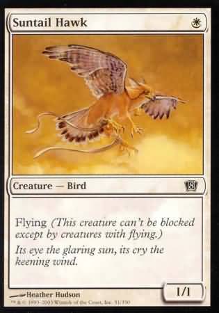 Suntail Hawk Oversize Suntail Hawk Oversize