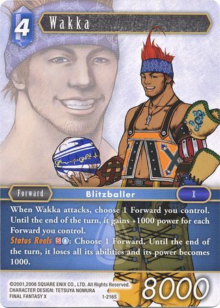 Wakka 1 216S Starter Wakka 1 216S Starter