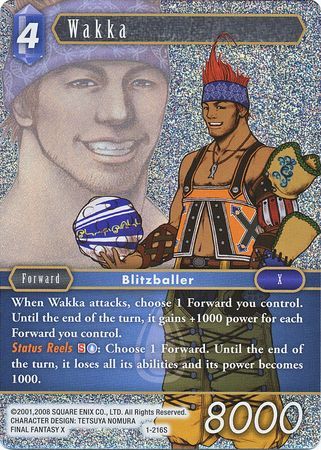 Wakka 1 216S Starter Foil Wakka 1 216S Starter Foil