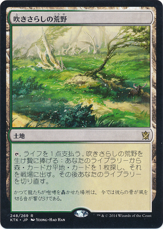 Windswept Heath Japanese Khans of Tarkir Windswept Heath Japanese Khans of Tarkir